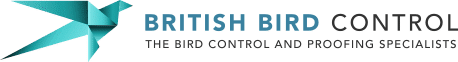 cropped-logo